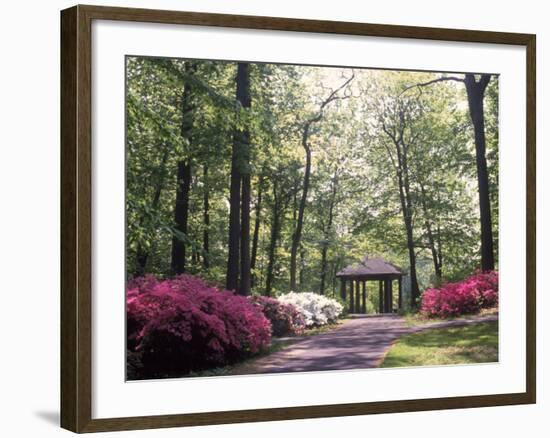 Azalea Way, Botanical Gardens, Bronx, NY-Lauree Feldman-Framed Photographic Print