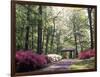 Azalea Way, Botanical Gardens, Bronx, NY-Lauree Feldman-Framed Photographic Print