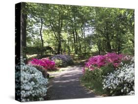 Azalea Way, Botanical Gardens, Bronx, NY-Lauree Feldman-Stretched Canvas