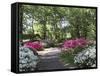 Azalea Way, Botanical Gardens, Bronx, NY-Lauree Feldman-Framed Stretched Canvas