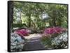 Azalea Way, Botanical Gardens, Bronx, NY-Lauree Feldman-Framed Stretched Canvas