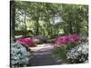 Azalea Way, Botanical Gardens, Bronx, NY-Lauree Feldman-Stretched Canvas