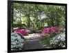 Azalea Way, Botanical Gardens, Bronx, NY-Lauree Feldman-Framed Photographic Print