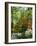 Azalea Way, Botanical Gardens, Bronx, NY-Lauree Feldman-Framed Photographic Print