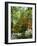 Azalea Way, Botanical Gardens, Bronx, NY-Lauree Feldman-Framed Photographic Print