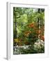 Azalea Way, Botanical Gardens, Bronx, NY-Lauree Feldman-Framed Photographic Print