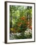 Azalea Way, Botanical Gardens, Bronx, NY-Lauree Feldman-Framed Photographic Print