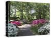 Azalea Way, Botanical Gardens, Bronx, NY-Lauree Feldman-Stretched Canvas