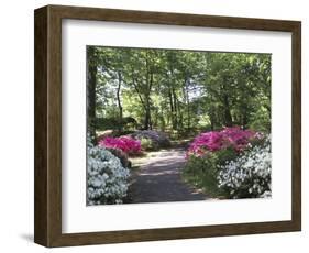 Azalea Way, Botanical Gardens, Bronx, NY-Lauree Feldman-Framed Photographic Print