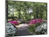 Azalea Way, Botanical Gardens, Bronx, NY-Lauree Feldman-Mounted Photographic Print