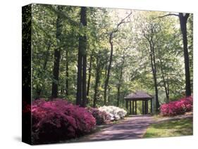 Azalea Way, Botanical Gardens, Bronx, NY-Lauree Feldman-Stretched Canvas