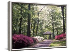 Azalea Way, Botanical Gardens, Bronx, NY-Lauree Feldman-Framed Photographic Print