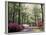 Azalea Way, Botanical Gardens, Bronx, NY-Lauree Feldman-Framed Photographic Print