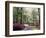 Azalea Way, Botanical Gardens, Bronx, NY-Lauree Feldman-Framed Photographic Print