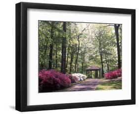 Azalea Way, Botanical Gardens, Bronx, NY-Lauree Feldman-Framed Photographic Print