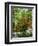 Azalea Way, Botanical Gardens, Bronx, NY-Lauree Feldman-Framed Photographic Print