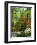 Azalea Way, Botanical Gardens, Bronx, NY-Lauree Feldman-Framed Photographic Print