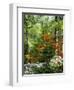 Azalea Way, Botanical Gardens, Bronx, NY-Lauree Feldman-Framed Photographic Print