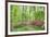 Azalea Woods, Winterthur, Delaware, Usa-Lisa S. Engelbrecht-Framed Premium Photographic Print