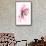 Azalea-null-Framed Stretched Canvas displayed on a wall