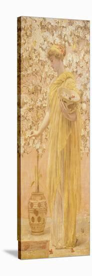 Azaleas, 1868-Albert Joseph Moore-Stretched Canvas