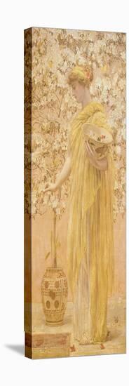 Azaleas, 1868-Albert Joseph Moore-Stretched Canvas