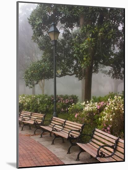 Azaleas Along Brick Sidewalk and Benches at Forsyth Park, Savannah, Georgia, USA-Joanne Wells-Mounted Photographic Print