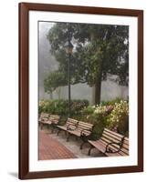 Azaleas Along Brick Sidewalk and Benches at Forsyth Park, Savannah, Georgia, USA-Joanne Wells-Framed Photographic Print