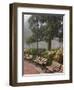 Azaleas Along Brick Sidewalk and Benches at Forsyth Park, Savannah, Georgia, USA-Joanne Wells-Framed Photographic Print