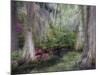 Azaleas and Cypress Trees in Magnolia Gardens, South Carolina, USA-Nancy Rotenberg-Mounted Photographic Print