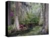 Azaleas and Cypress Trees in Magnolia Gardens, South Carolina, USA-Nancy Rotenberg-Stretched Canvas