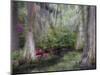 Azaleas and Cypress Trees in Magnolia Gardens, South Carolina, USA-Nancy Rotenberg-Mounted Photographic Print