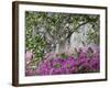 Azaleas and Live Oak Trees Draped in Spanish Moss, Middleton Place Plantation, South Carolina, USA-Adam Jones-Framed Photographic Print