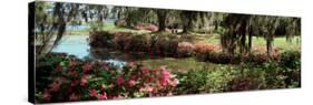 Azaleas and Willow Trees in a Park, Charleston, Charleston County, South Carolina, USA-null-Stretched Canvas