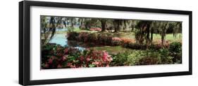 Azaleas and Willow Trees in a Park, Charleston, Charleston County, South Carolina, USA-null-Framed Premium Photographic Print