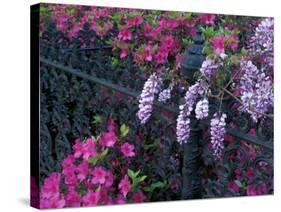 Azaleas and Wisteria Bloom at Bonaventure Cemetery, Savannah, Georgia, USA-Joanne Wells-Stretched Canvas