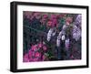 Azaleas and Wisteria Bloom at Bonaventure Cemetery, Savannah, Georgia, USA-Joanne Wells-Framed Premium Photographic Print