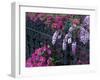 Azaleas and Wisteria Bloom at Bonaventure Cemetery, Savannah, Georgia, USA-Joanne Wells-Framed Premium Photographic Print