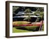 Azaleas at the Imperial Palace East Gardens, Tokyo, Japan-Nancy & Steve Ross-Framed Photographic Print