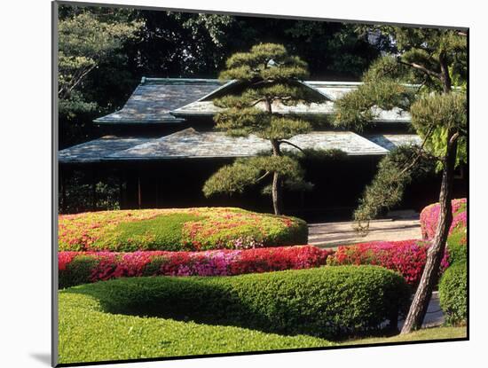 Azaleas at the Imperial Palace East Gardens, Tokyo, Japan-Nancy & Steve Ross-Mounted Photographic Print