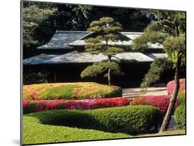 Azaleas at the Imperial Palace East Gardens, Tokyo, Japan-Nancy & Steve Ross-Mounted Photographic Print
