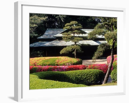 Azaleas at the Imperial Palace East Gardens, Tokyo, Japan-Nancy & Steve Ross-Framed Photographic Print