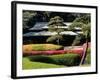 Azaleas at the Imperial Palace East Gardens, Tokyo, Japan-Nancy & Steve Ross-Framed Photographic Print