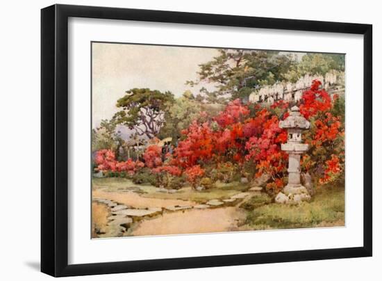 Azaleas, Awata-Ella Du Cane-Framed Giclee Print