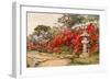 Azaleas, Awata-Ella Du Cane-Framed Giclee Print