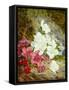 Azaleas by Thomas Worsey-Thomas Worsey-Framed Stretched Canvas