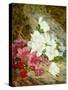 Azaleas by Thomas Worsey-Thomas Worsey-Stretched Canvas