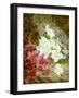 Azaleas by Thomas Worsey-Thomas Worsey-Framed Giclee Print