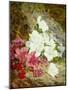 Azaleas by Thomas Worsey-Thomas Worsey-Mounted Giclee Print