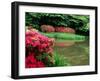 Azaleas, Chogaku-Ji Temple, Tenri, Nara, Japan-null-Framed Photographic Print